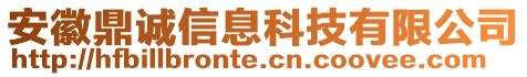 安徽鼎诚信息科技有限公司