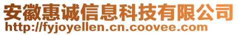 安徽惠誠(chéng)信息科技有限公司