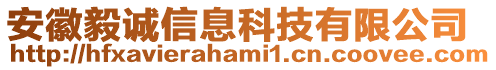 安徽毅誠信息科技有限公司