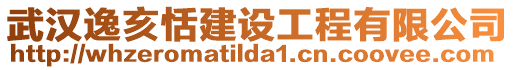 武漢逸亥恬建設(shè)工程有限公司