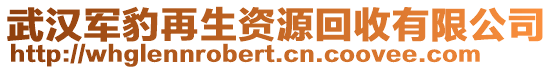 武漢軍豹再生資源回收有限公司