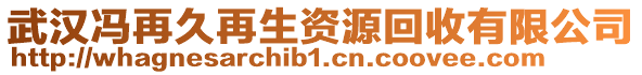 武漢馮再久再生資源回收有限公司