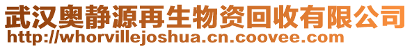 武漢奧靜源再生物資回收有限公司