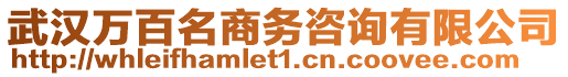 武漢萬百名商務咨詢有限公司