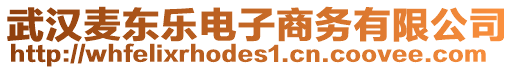 武漢麥東樂電子商務(wù)有限公司