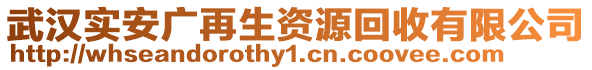 武漢實(shí)安廣再生資源回收有限公司