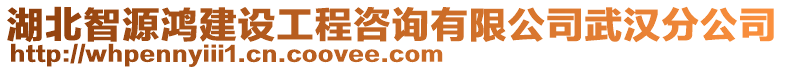 湖北智源鴻建設(shè)工程咨詢有限公司武漢分公司