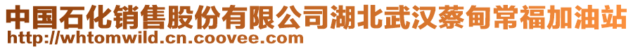 中國(guó)石化銷售股份有限公司湖北武漢蔡甸常福加油站