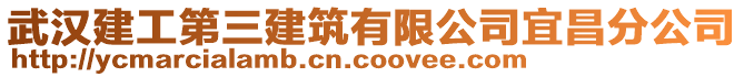 武漢建工第三建筑有限公司宜昌分公司