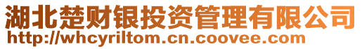 湖北楚財銀投資管理有限公司