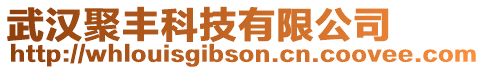 武漢聚豐科技有限公司