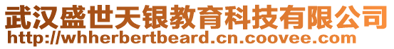 武漢盛世天銀教育科技有限公司