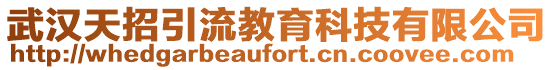 武漢天招引流教育科技有限公司