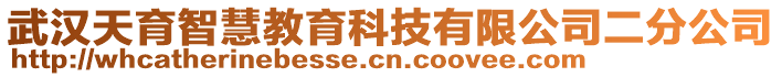 武漢天育智慧教育科技有限公司二分公司