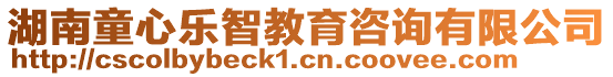 湖南童心樂智教育咨詢有限公司