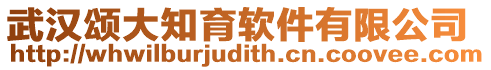 武漢頌大知育軟件有限公司