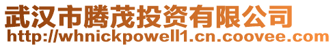 武漢市騰茂投資有限公司