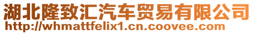 湖北隆致匯汽車貿(mào)易有限公司