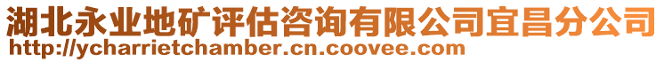 湖北永業(yè)地礦評估咨詢有限公司宜昌分公司