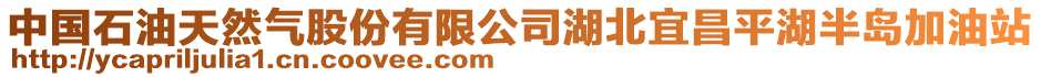 中國(guó)石油天然氣股份有限公司湖北宜昌平湖半島加油站