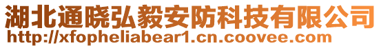 湖北通曉弘毅安防科技有限公司