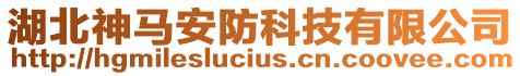 湖北神馬安防科技有限公司