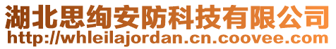 湖北思絢安防科技有限公司