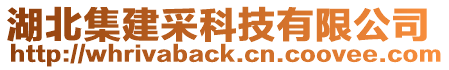 湖北集建采科技有限公司