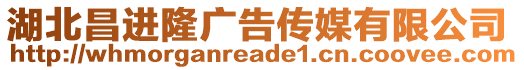 湖北昌進(jìn)隆廣告?zhèn)髅接邢薰? style=