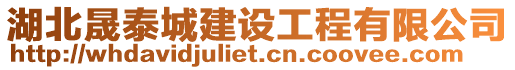 湖北晟泰城建設工程有限公司