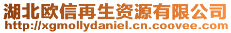 湖北歐信再生資源有限公司