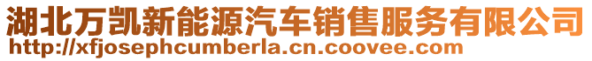 湖北萬凱新能源汽車銷售服務(wù)有限公司