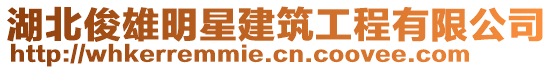 湖北俊雄明星建筑工程有限公司