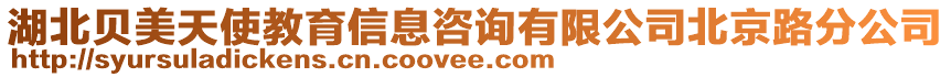 湖北貝美天使教育信息咨詢有限公司北京路分公司