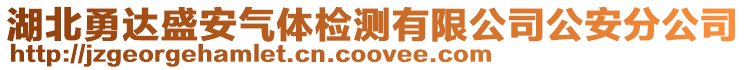 湖北勇達盛安氣體檢測有限公司公安分公司