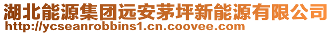 湖北能源集团远安茅坪新能源有限公司