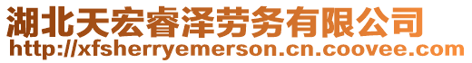 湖北天宏睿澤勞務(wù)有限公司