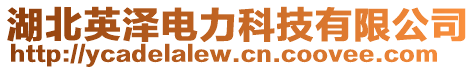 湖北英澤電力科技有限公司