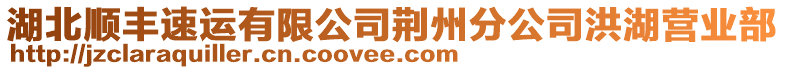 湖北順豐速運有限公司荊州分公司洪湖營業(yè)部