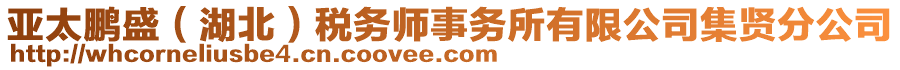 亞太鵬盛（湖北）稅務(wù)師事務(wù)所有限公司集賢分公司