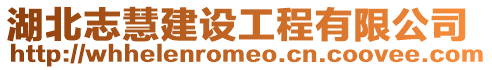 湖北志慧建設(shè)工程有限公司