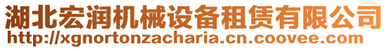 湖北宏潤機械設備租賃有限公司