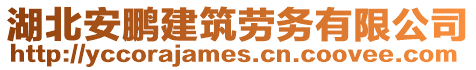 湖北安鵬建筑勞務(wù)有限公司