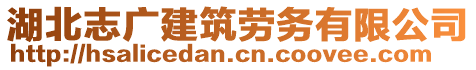 湖北志广建筑劳务有限公司