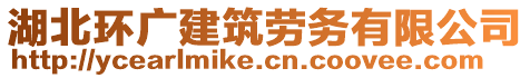 湖北環(huán)廣建筑勞務(wù)有限公司