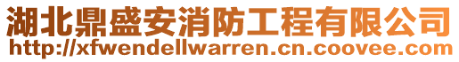 湖北鼎盛安消防工程有限公司