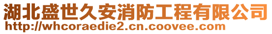 湖北盛世久安消防工程有限公司