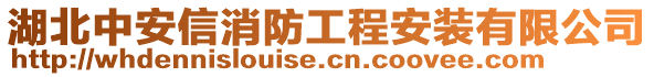 湖北中安信消防工程安裝有限公司