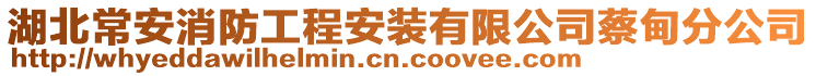 湖北常安消防工程安裝有限公司蔡甸分公司