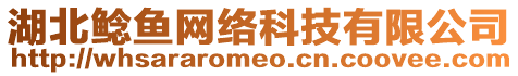 湖北鯰魚網(wǎng)絡(luò)科技有限公司